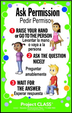 Ask Permission Lesson
