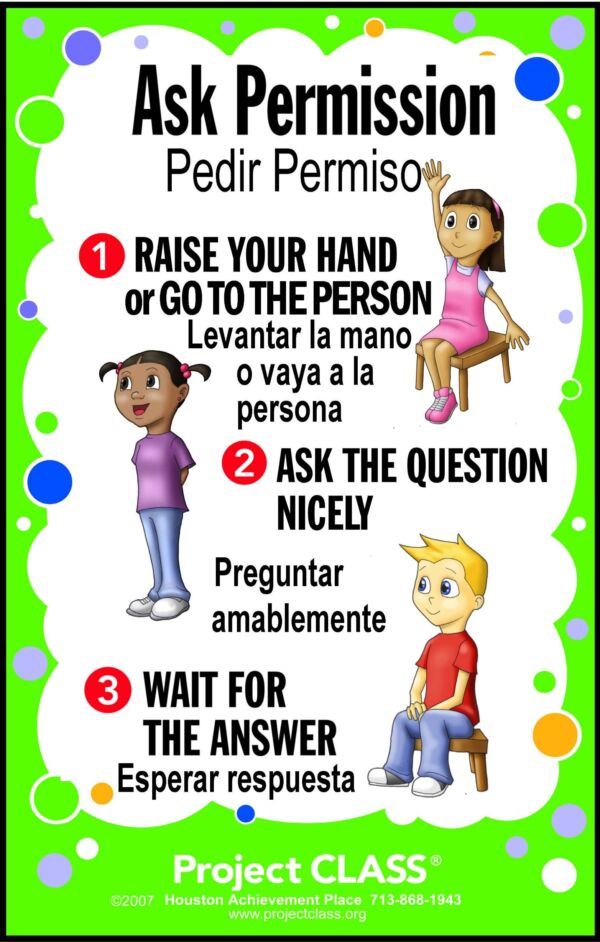 Ask Permission Lesson