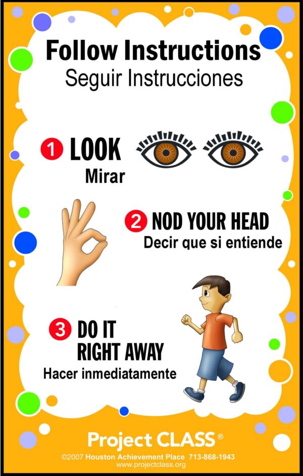 Follow Instructions Lesson