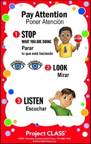 Pay Attention Lesson